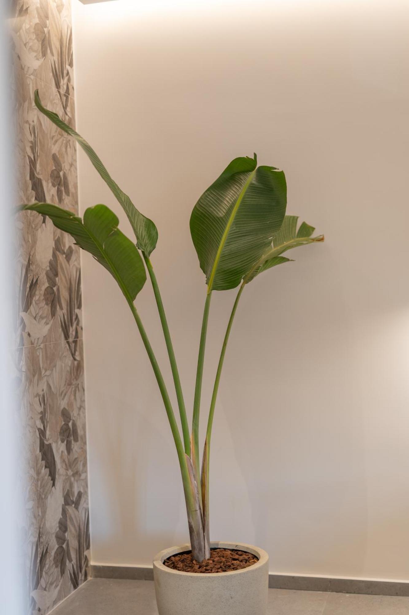 Le Fleur Suite Iraklio Exteriér fotografie